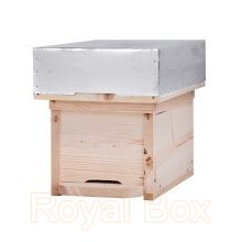 WBC Hive