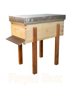 Galery_1